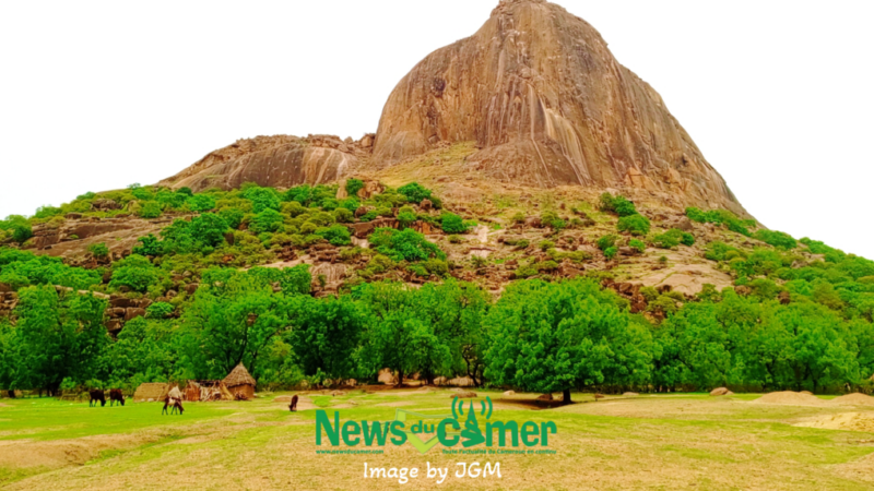 Tourisme au Cameroun : décennie de déclin et pertes abyssales