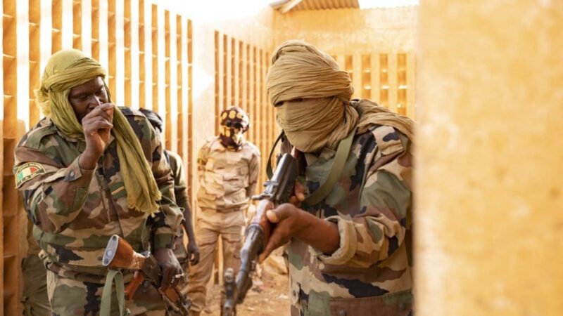 Embuscade meurtrière contre les militaires maliens : plus de 50 victimes