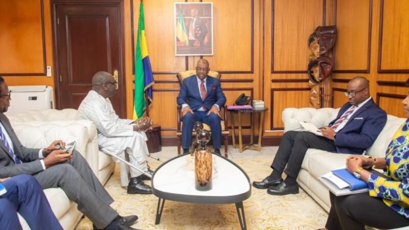 Partenariat Gabon-BAD : une accélération stratégique pour l&rsquo;émergence économique