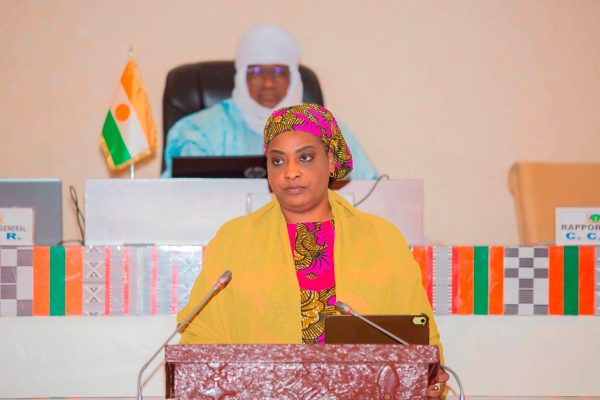 La transformation numérique propulse la réforme de la fonction publique au Niger