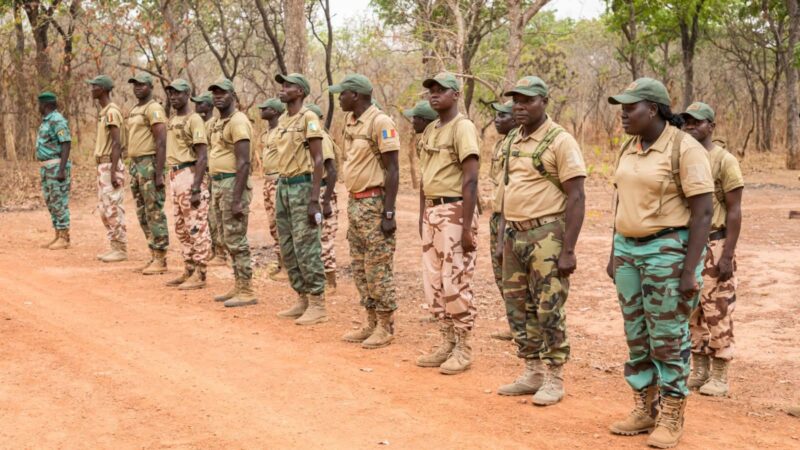 Tchad : nouvelle règle pour les agents des eaux et forêts