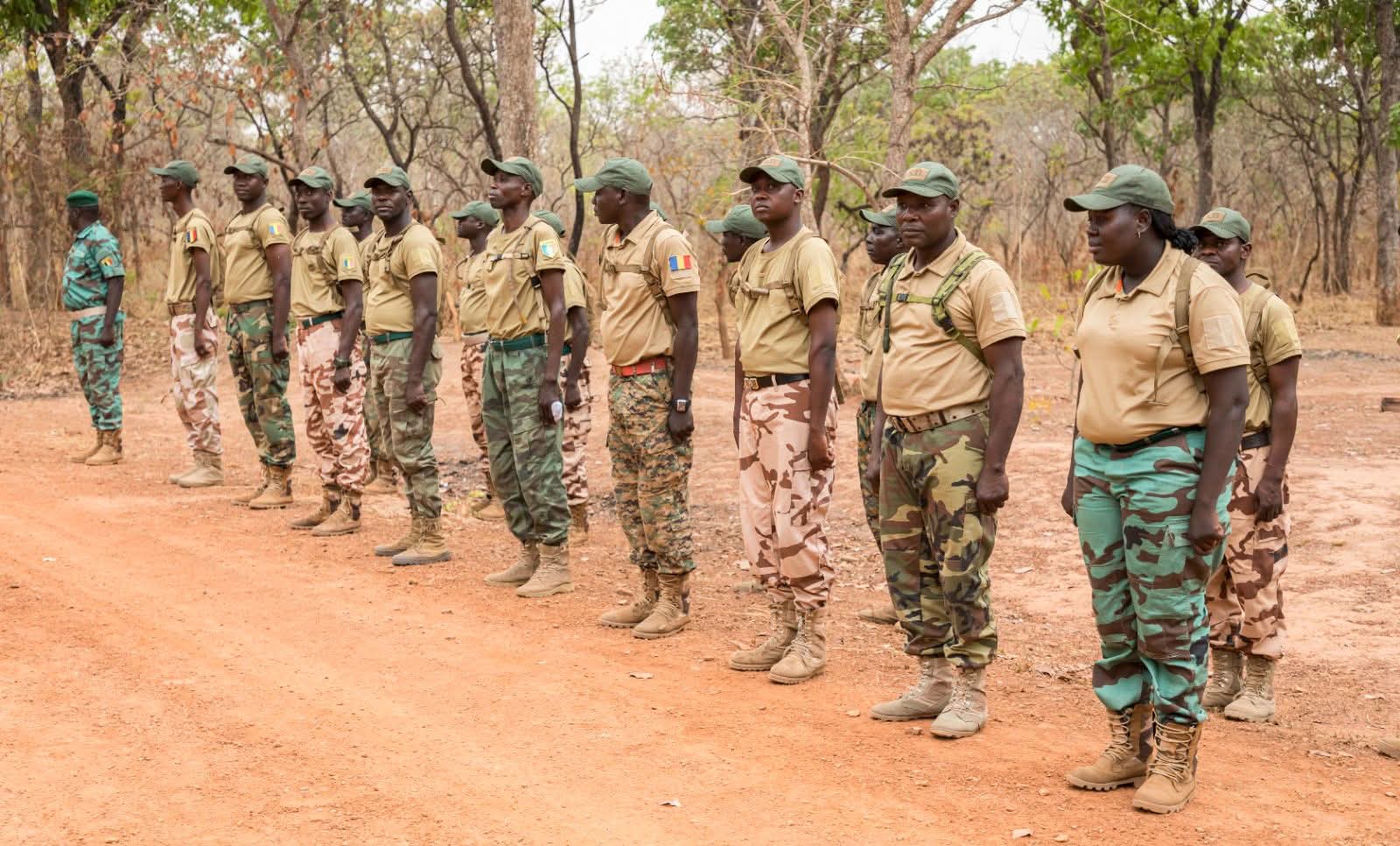 Tchad : nouvelle règle pour les agents des eaux et forêts