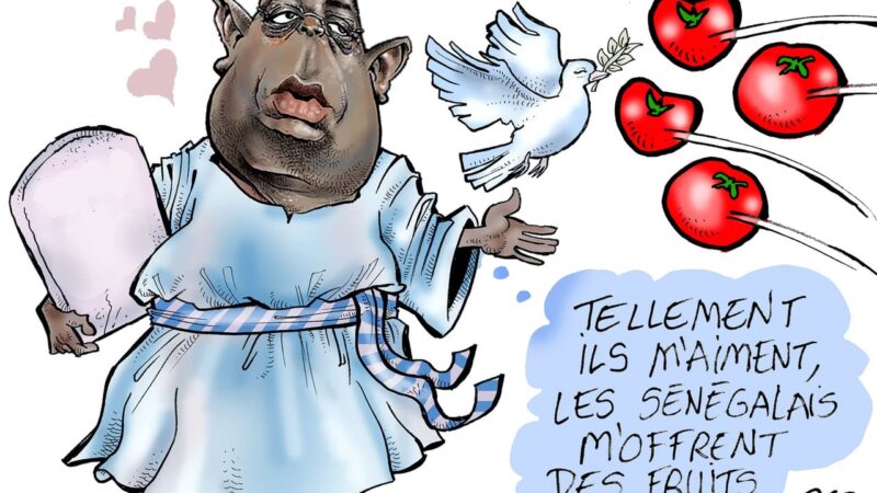Sénégal : Macky Sall et Bassirou Diomaye Faye en tête des élections sénégalaises