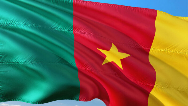 Le Cameroun et la politique des visas en Afrique : une approche distincte