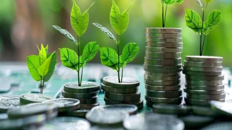 Le Maroc lance sa taxonomie verte pour une économie sobre en carbone