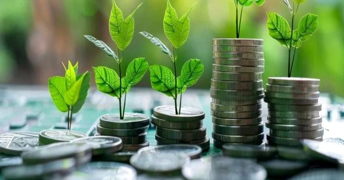 Le Maroc lance sa taxonomie verte pour une économie sobre en carbone