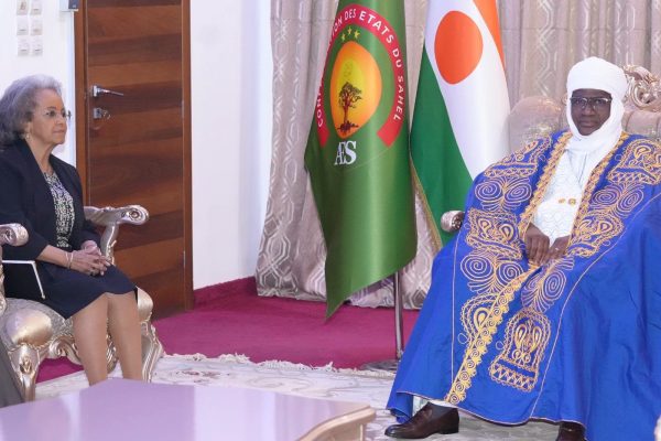 Niger : le conseil consultatif de la refondation au cœur des discussions avec l&rsquo;unowas