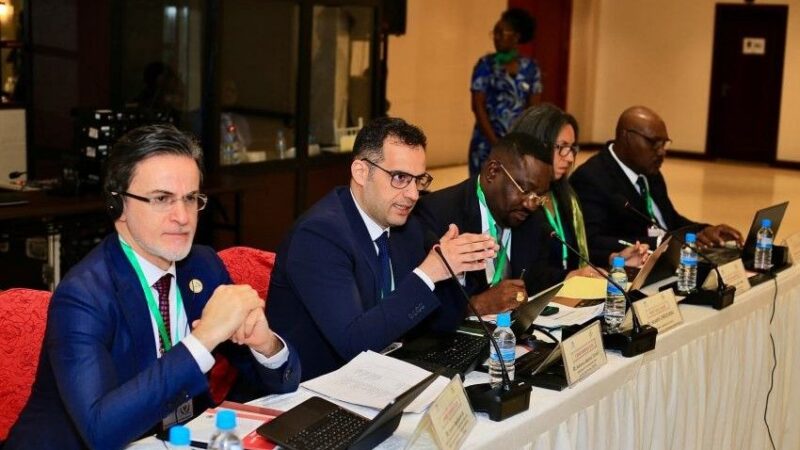 La lutte contre la corruption au Gabon à l&rsquo;épreuve de l&rsquo;évaluation internationale