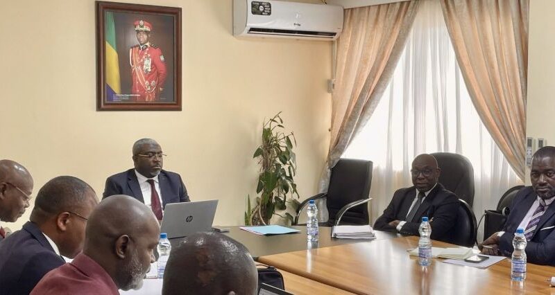 Réforme juridique au Gabon : vers une gouvernance plus claire et efficace