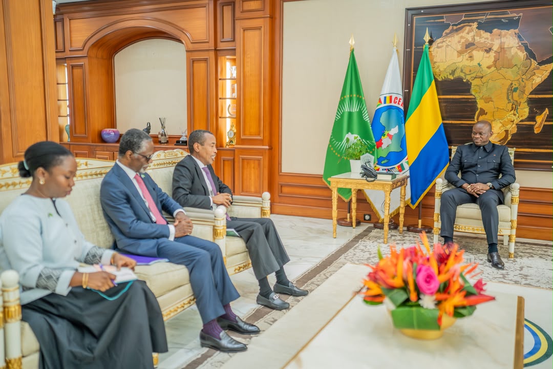 La transition gabonaise : un modèle pour Madagascar