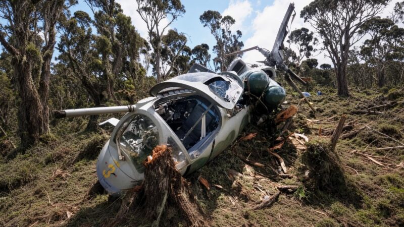 Crash d&rsquo;hélicoptère au Kenya : décès du chef des services secrets équatoriens et de cinq américains