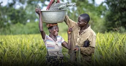Bénin : l’assurance agricole s’étend pour sécuriser les producteurs