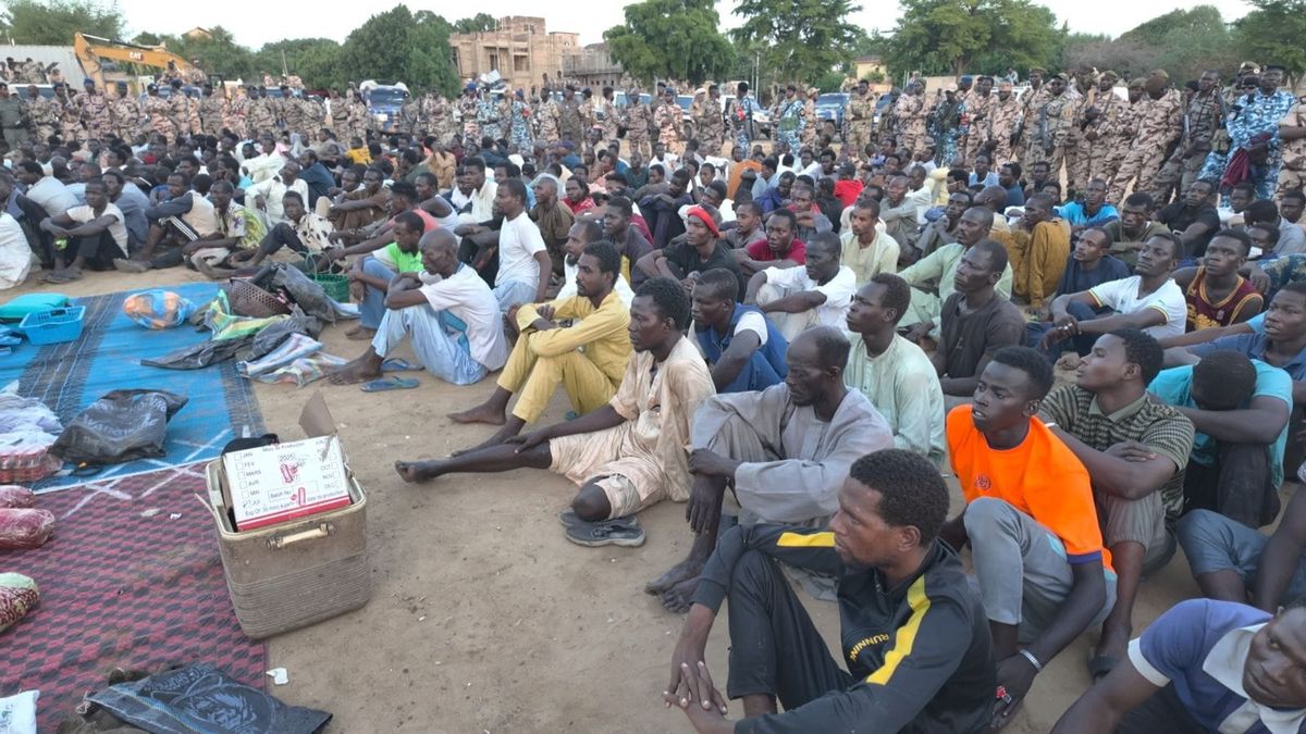 Vaste coup de filet à N&rsquo;Djamena : 252 interpellations dans la lutte anti-criminalité