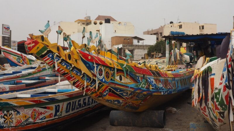 Le Sénégal face à la dualité de ses importations : un bond mensuel contre un recul semestriel
