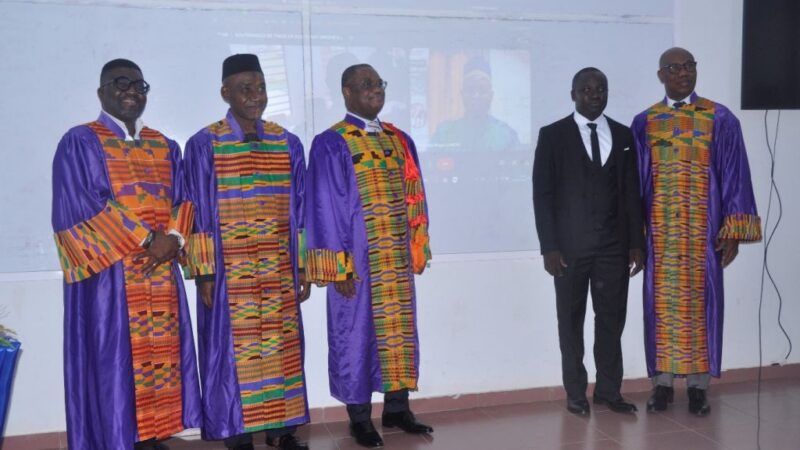 Une exploration approfondie de la liberté contractuelle dans le droit des sociétés coopératives OHADA à Lomé