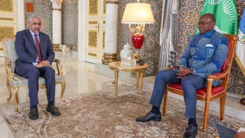 Gabon : la bad scelle un partenariat stratégique axé sur l&rsquo;eau, l&rsquo;électricité et l&rsquo;agriculture