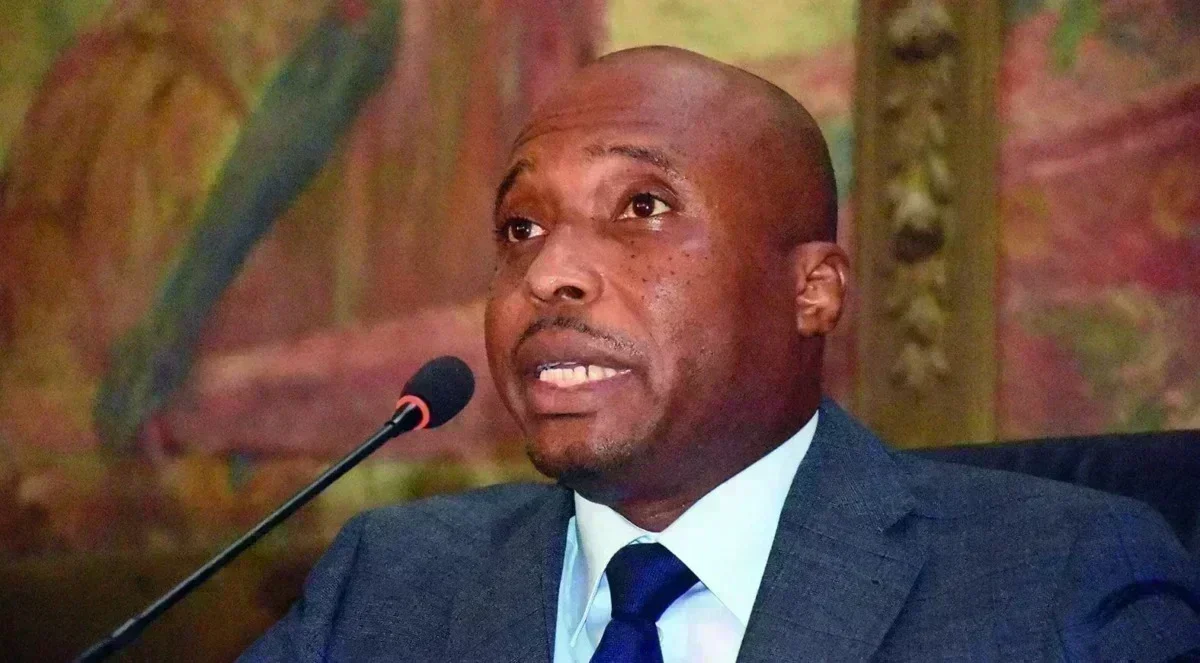 Barthélémy Dias, acteur clé de l'opposition sénégalaise Politique au Sénégal : Barthélémy Dias, figure de l'opposition active sur le terrain