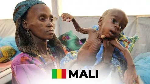 Mali : 73,6 millions de dollars manquants pour éviter l&rsquo;effondrement alimentaire d&rsquo;ici 2027